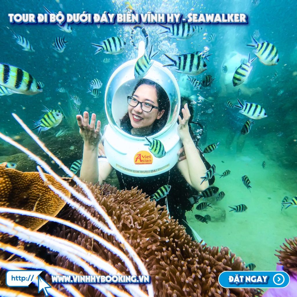 tour-di-bo-duoi-bien-vinh-hy (2)