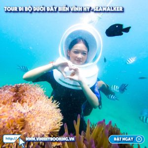 tour-di-bo-duoi-bien-vinh-hy (3)