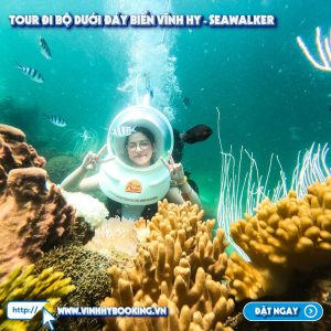 tour-di-bo-duoi-bien-vinh-hy (5)