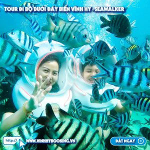 tour-di-bo-duoi-bien-vinh-hy (6)