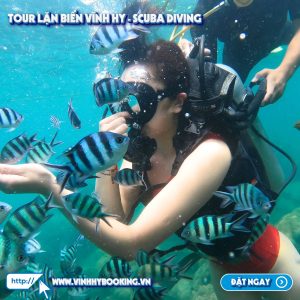 tour-lan-bien-vinh-hy-bang-binh-duong-khi (3)