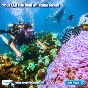 tour-lan-bien-vinh-hy-bang-binh-duong-khi (4)