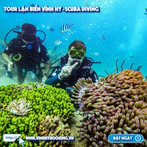 tour-lan-bien-vinh-hy-bang-binh-duong-khi (5)