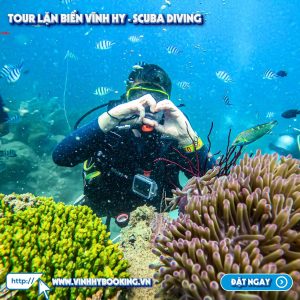 tour-lan-bien-vinh-hy-bang-binh-duong-khi (6)