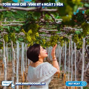 tour-ninh-chu-vinh-hy-4-ngay-3-dem (5)