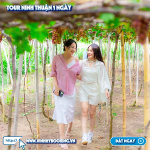 tour-ninh-thuan-1-ngay (6)