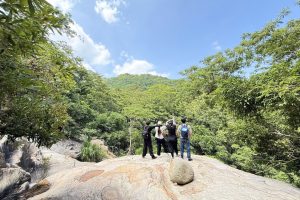 tour-1-ngay-trekking-nui-chua-tron-goi (2)