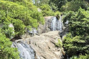 tour-1-ngay-trekking-nui-chua-tron-goi (3)