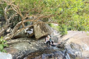 tour-1-ngay-trekking-nui-chua-tron-goi (4)