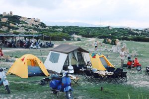 tour-cam-trai-ninh-thuan (6)