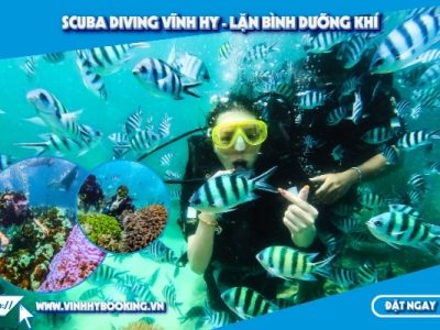 lan-binh-khi-vinh-hy