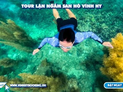 tour-lan-bien-vinh-hy
