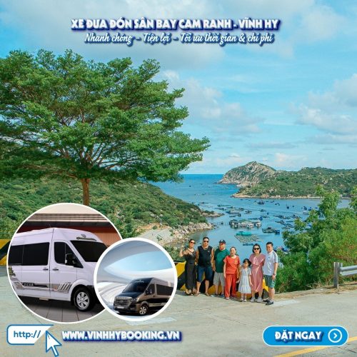 Dịch vụ xe sân bay Cam Ranh đi Vĩnh Hy cung cấp các dòng xe từ 4-45 chỗ